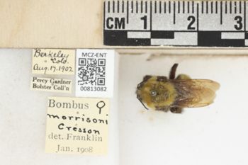 Media type: image;   Entomology 813082 Aspect: labels